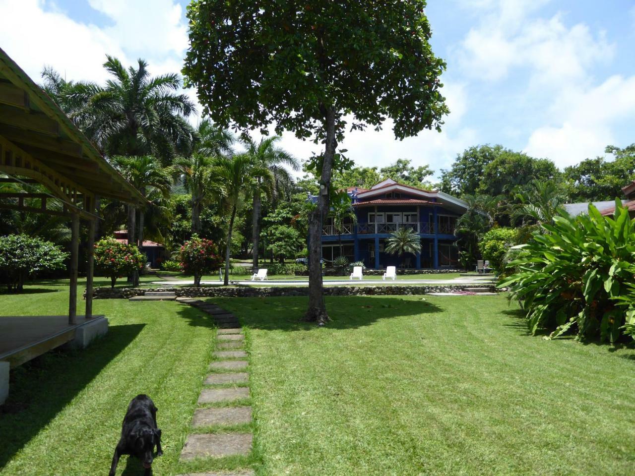 Hotel Casa Azul Playa Santa Teresa  Exterior photo